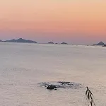 Coin De Paradis Aux Sanguinaires